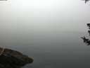 ./images/koeye/fitz-hugh/20180725/fitz-hugh20180725_065002.jpg