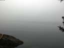 ./images/koeye/fitz-hugh/20180725/fitz-hugh20180725_065502.jpg