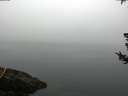 ./images/koeye/fitz-hugh/20180725/fitz-hugh20180725_073502.jpg