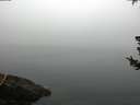 ./images/koeye/fitz-hugh/20180725/fitz-hugh20180725_074002.jpg