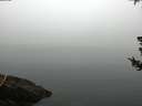 ./images/koeye/fitz-hugh/20180725/fitz-hugh20180725_074501.jpg