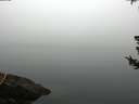 ./images/koeye/fitz-hugh/20180725/fitz-hugh20180725_075001.jpg