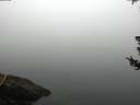 ./images/koeye/fitz-hugh/20180725/fitz-hugh20180725_075501.jpg