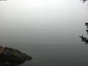 ./images/koeye/fitz-hugh/20180725/fitz-hugh20180725_080001.jpg
