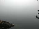 ./images/koeye/fitz-hugh/20180725/fitz-hugh20180725_080501.jpg