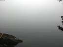 ./images/koeye/fitz-hugh/20180725/fitz-hugh20180725_081001.jpg