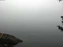 ./images/koeye/fitz-hugh/20180725/fitz-hugh20180725_081501.jpg