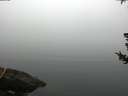 ./images/koeye/fitz-hugh/20180725/fitz-hugh20180725_082001.jpg