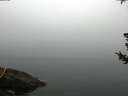 ./images/koeye/fitz-hugh/20180725/fitz-hugh20180725_082501.jpg