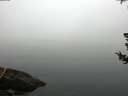 ./images/koeye/fitz-hugh/20180725/fitz-hugh20180725_083501.jpg