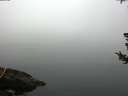 ./images/koeye/fitz-hugh/20180725/fitz-hugh20180725_084001.jpg