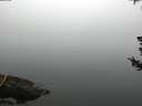 ./images/koeye/fitz-hugh/20180725/fitz-hugh20180725_090501.jpg