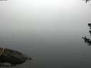 ./images/koeye/fitz-hugh/20180725/fitz-hugh20180725_091001.jpg