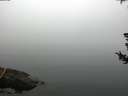./images/koeye/fitz-hugh/20180725/fitz-hugh20180725_091501.jpg