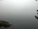 ./images/koeye/fitz-hugh/20180725/fitz-hugh20180725_092001.jpg