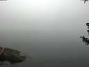 ./images/koeye/fitz-hugh/20180725/fitz-hugh20180725_092501.jpg