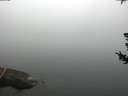 ./images/koeye/fitz-hugh/20180725/fitz-hugh20180725_093502.jpg
