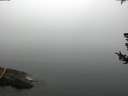 ./images/koeye/fitz-hugh/20180725/fitz-hugh20180725_094001.jpg