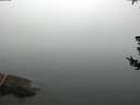 ./images/koeye/fitz-hugh/20180725/fitz-hugh20180725_094502.jpg