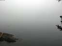 ./images/koeye/fitz-hugh/20180725/fitz-hugh20180725_095002.jpg