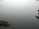 ./images/koeye/fitz-hugh/20180725/fitz-hugh20180725_095502.jpg
