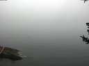 ./images/koeye/fitz-hugh/20180725/fitz-hugh20180725_100002.jpg