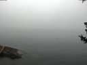 ./images/koeye/fitz-hugh/20180725/fitz-hugh20180725_101002.jpg