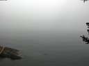 ./images/koeye/fitz-hugh/20180725/fitz-hugh20180725_102002.jpg