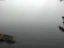 ./images/koeye/fitz-hugh/20180725/fitz-hugh20180725_102502.jpg