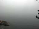 ./images/koeye/fitz-hugh/20180725/fitz-hugh20180725_103502.jpg