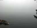 ./images/koeye/fitz-hugh/20180725/fitz-hugh20180725_104002.jpg