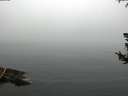 ./images/koeye/fitz-hugh/20180725/fitz-hugh20180725_104502.jpg