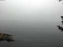 ./images/koeye/fitz-hugh/20180725/fitz-hugh20180725_105002.jpg