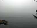 ./images/koeye/fitz-hugh/20180725/fitz-hugh20180725_105501.jpg
