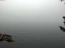 ./images/koeye/fitz-hugh/20180725/fitz-hugh20180725_111501.jpg