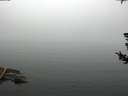 ./images/koeye/fitz-hugh/20180725/fitz-hugh20180725_112501.jpg