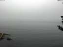 ./images/koeye/fitz-hugh/20180725/fitz-hugh20180725_114501.jpg