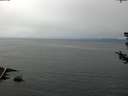./images/koeye/fitz-hugh/20180725/fitz-hugh20180725_135501.jpg