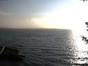 ./images/koeye/fitz-hugh/20180725/fitz-hugh20180725_185502.jpg
