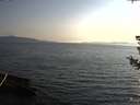 ./images/koeye/fitz-hugh/20180725/fitz-hugh20180725_194502.jpg