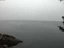./images/koeye/fitz-hugh/20180726/fitz-hugh20180726_050501.jpg