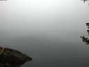 ./images/koeye/fitz-hugh/20180726/fitz-hugh20180726_054001.jpg