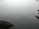 ./images/koeye/fitz-hugh/20180726/fitz-hugh20180726_060002.jpg