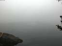 ./images/koeye/fitz-hugh/20180726/fitz-hugh20180726_062002.jpg