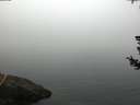 ./images/koeye/fitz-hugh/20180726/fitz-hugh20180726_080001.jpg