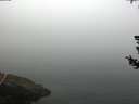 ./images/koeye/fitz-hugh/20180726/fitz-hugh20180726_081001.jpg