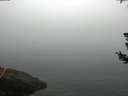 ./images/koeye/fitz-hugh/20180726/fitz-hugh20180726_081501.jpg