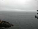 ./images/koeye/fitz-hugh/20180726/fitz-hugh20180726_093502.jpg