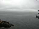 ./images/koeye/fitz-hugh/20180726/fitz-hugh20180726_094002.jpg