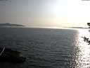 ./images/koeye/fitz-hugh/20180726/fitz-hugh20180726_190502.jpg